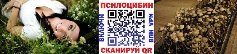 где купить наркотик  ОМГ ОМГ   Псилоцибиновые грибы ЛСД  Верхнеуральск 